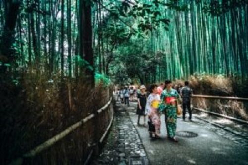 Japan Travel Tips (Kimono) | FAIR Study