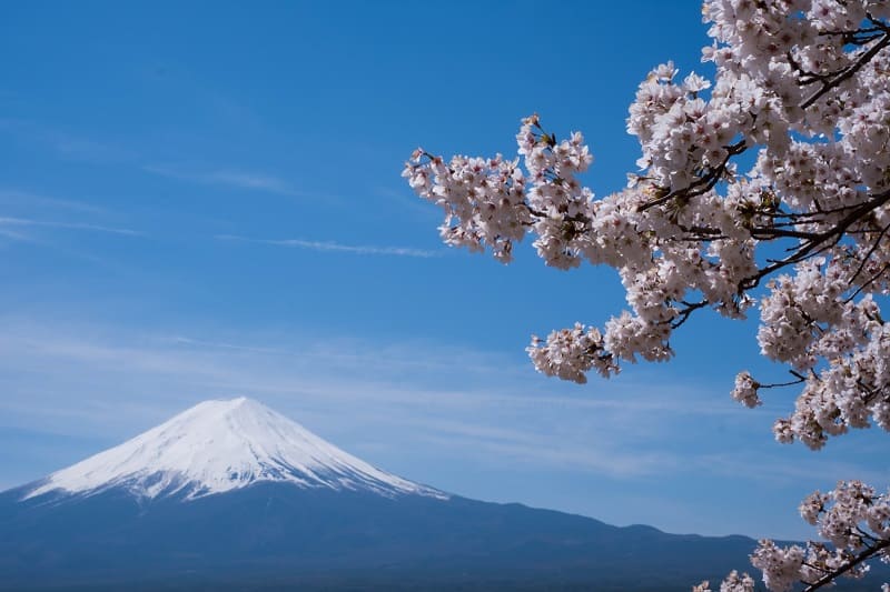 Things To Do in Japan (Climb Mt Fuji) | FAIR Study in Japan