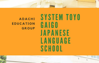 System Toyo Gaigo